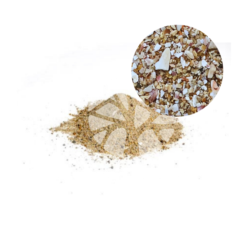 Sable Trez / coquillier – Image 2