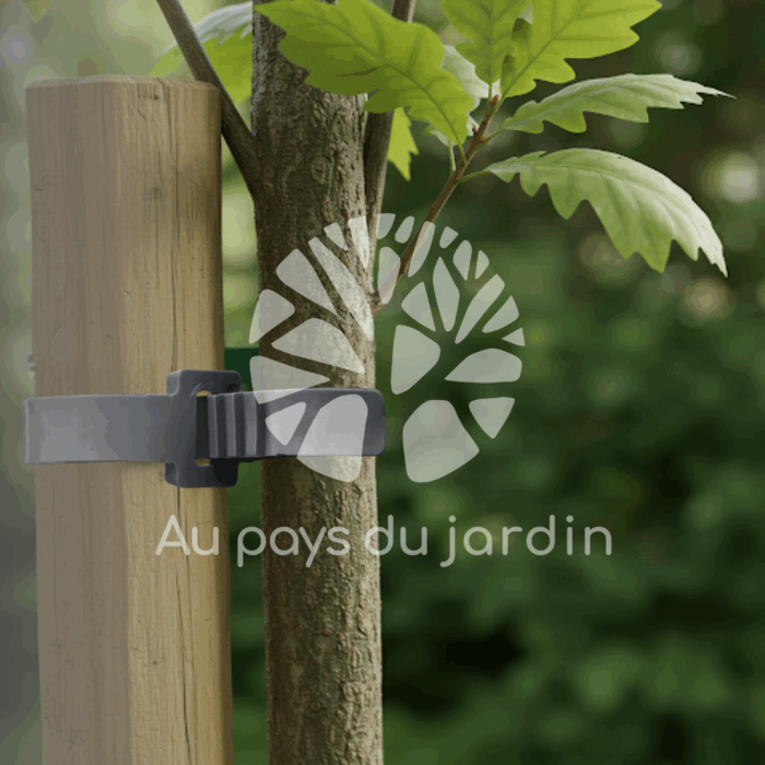 Ceinture de tuteurage pour les arbres